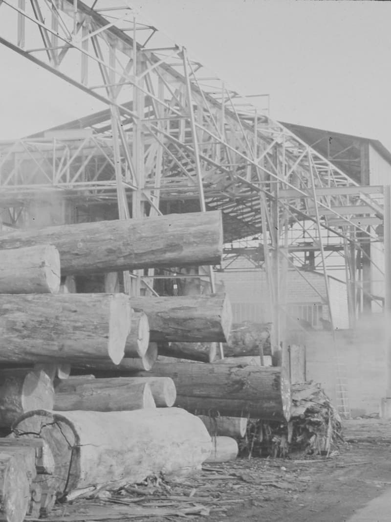 Usine Malvaux, sciage de peuplier, début de l'activité